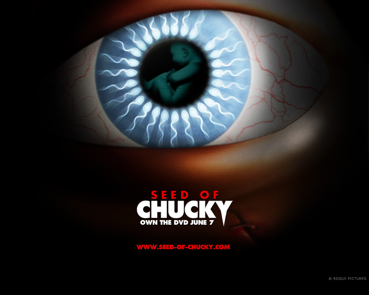 Chucky An Tiffany 1280x1024 Wallpaper Teahub Io