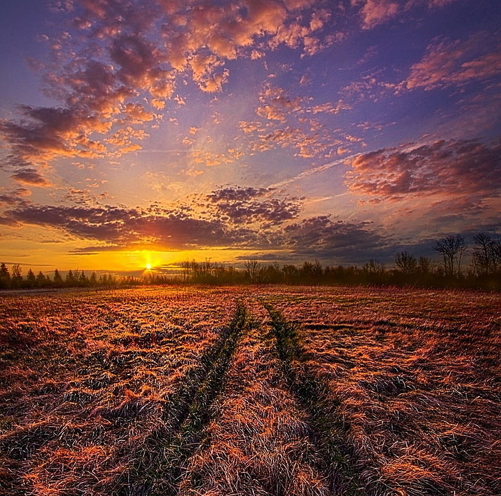 Brown And Black Wooden Table, Crossroads, Sunset, Field, - Colline Alba Immagini Autunnali Di Sera - HD Wallpaper 