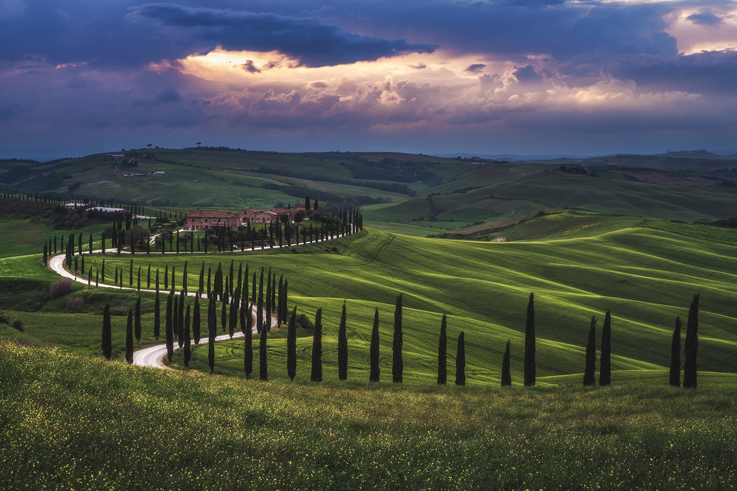 Photo Wallpaper Tuscany - Grass - HD Wallpaper 