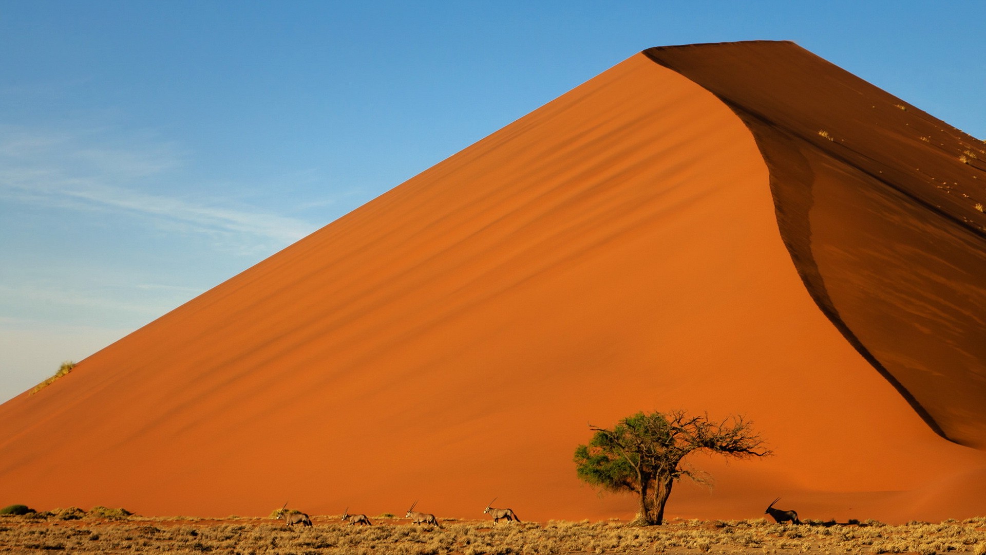 Sand Dunes Desert Background Hd - HD Wallpaper 
