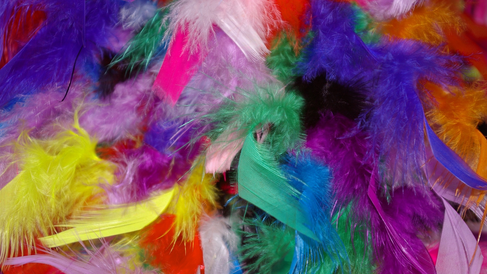 Wallpaper Feathers, Background, Colorful - Colorful Feathers Hd ...