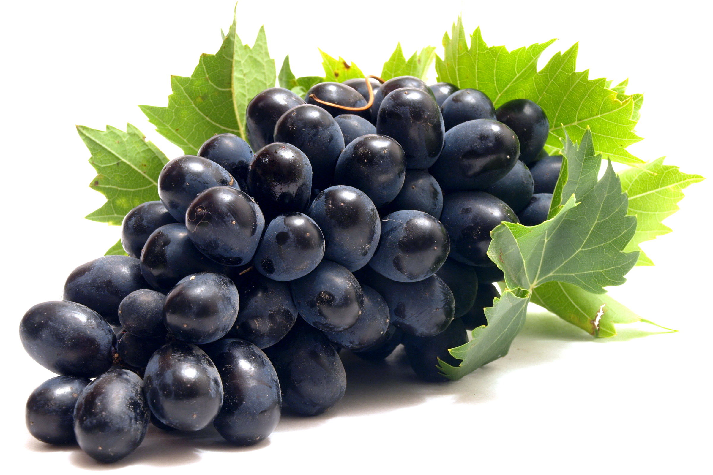 black grapes wallpaper