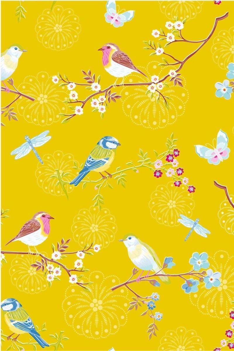 Yellow Bird Wallpaper Hd - unique rare bird