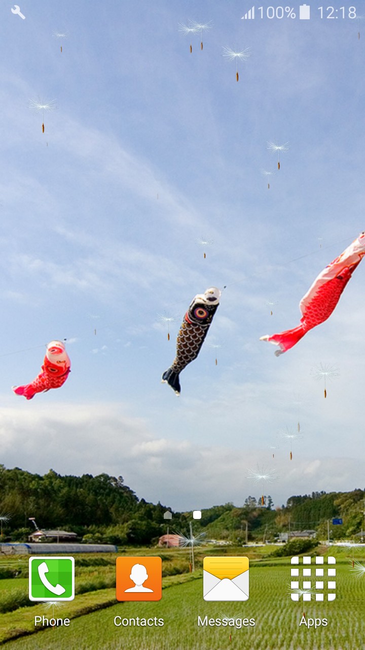 Soaring Kites Live Wallpapers - Grass - HD Wallpaper 