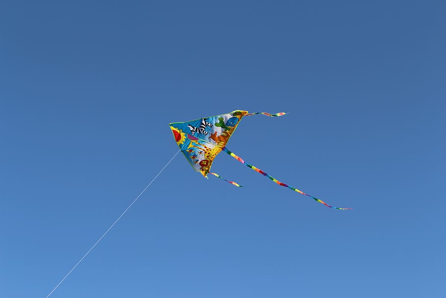 Kite - 910x607 Wallpaper - teahub.io