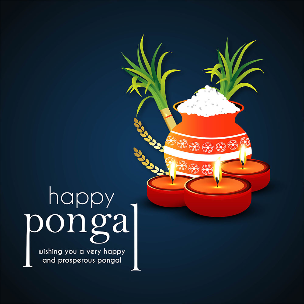 Happy Pongal Wishes Background Free Hd Image - Pongal Wishes With Company  Name - 1000x1000 Wallpaper 