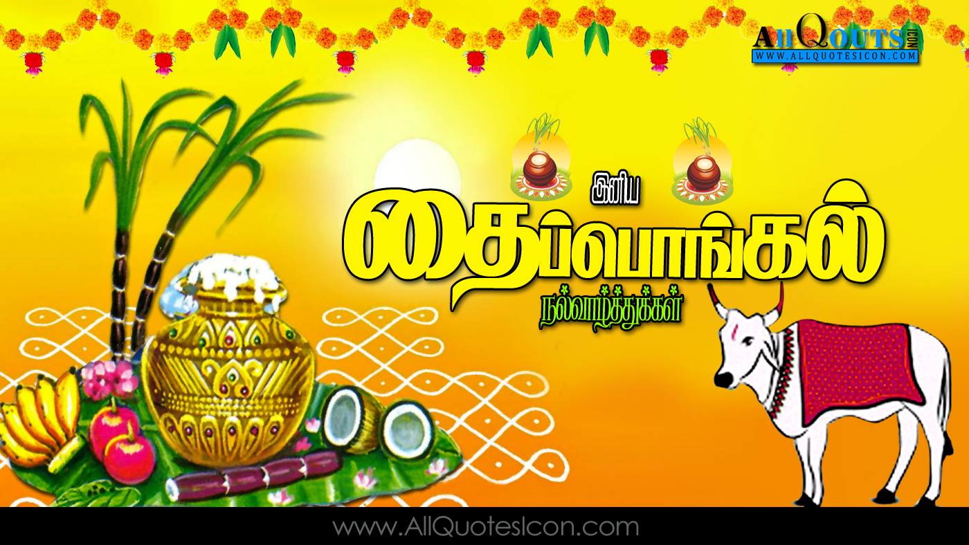 Download Thai Pongal Wishes In Tamil Best Thai Pongal Wishes Pongal