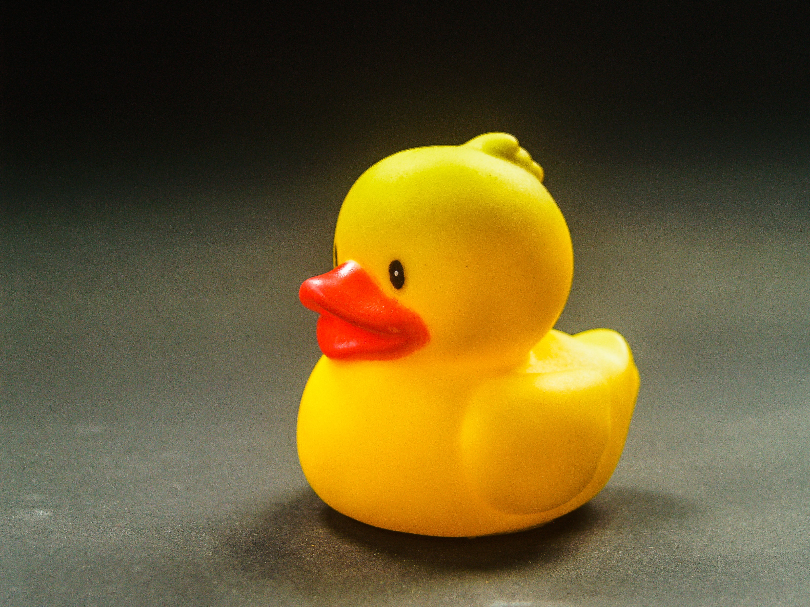 Bath Toy - 3200x2400 Wallpaper - teahub.io