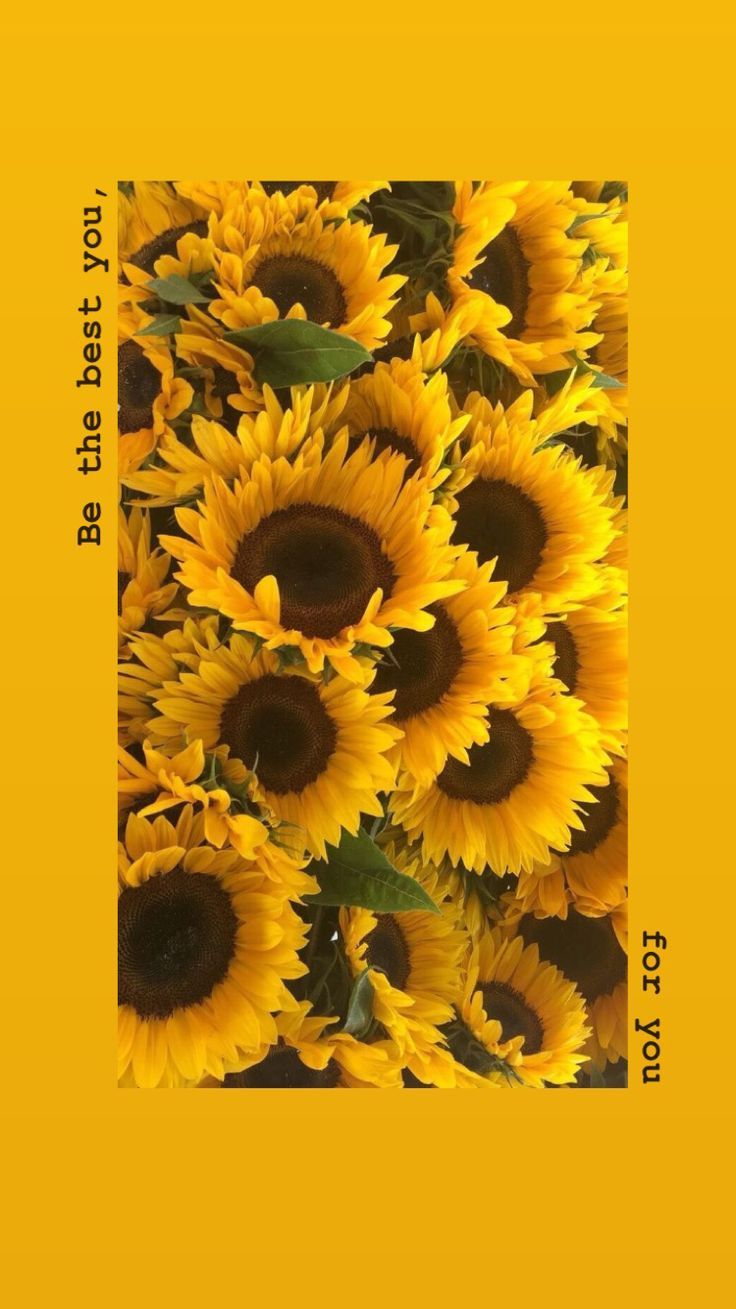 Aesthetic Wallpaper Yellow Sunflower - 736x1309 Wallpaper - teahub.io