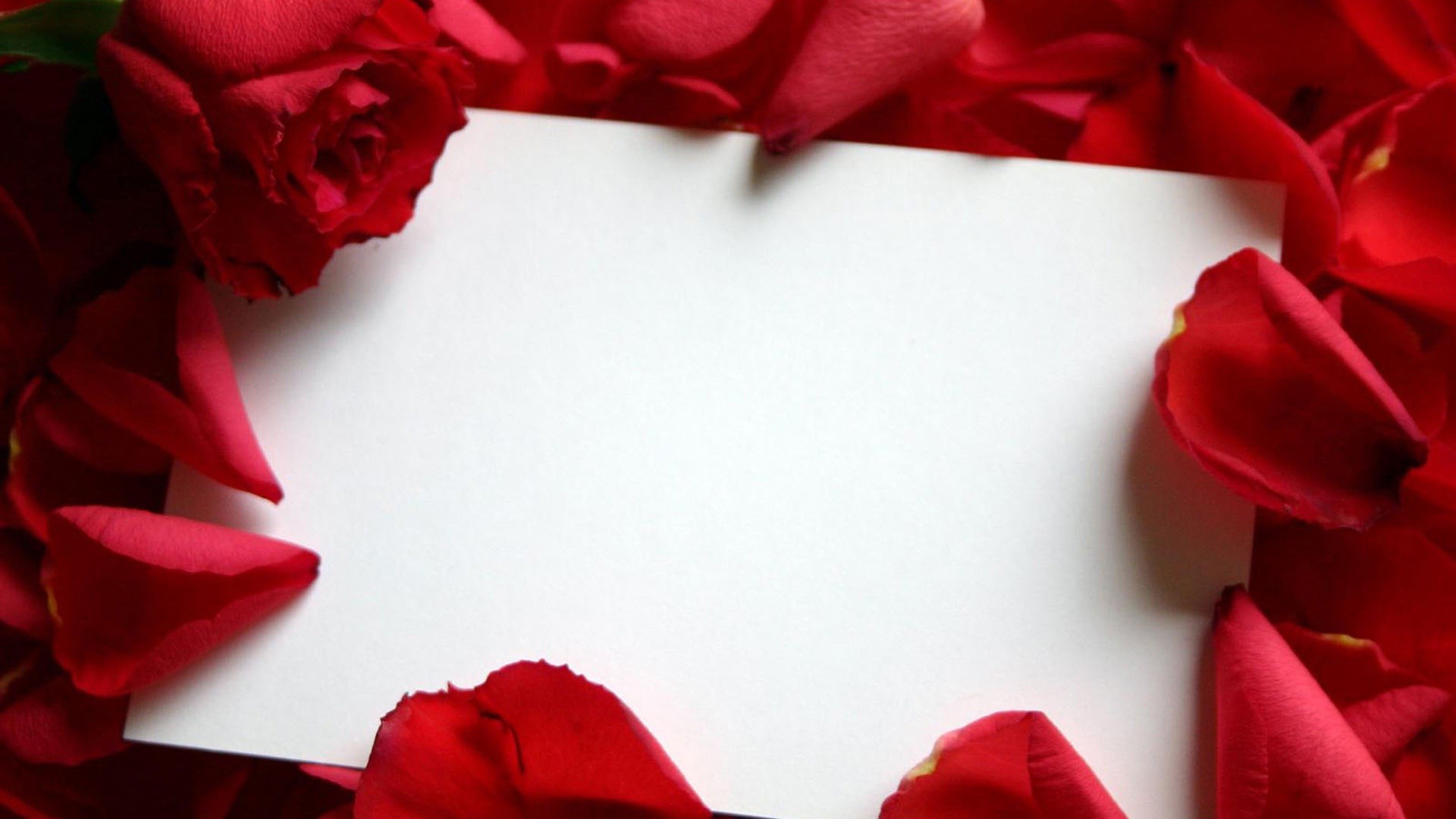 A Love Letter Wallpaper - Blank Love Letter Pad - 1920x1080 Wallpaper -  