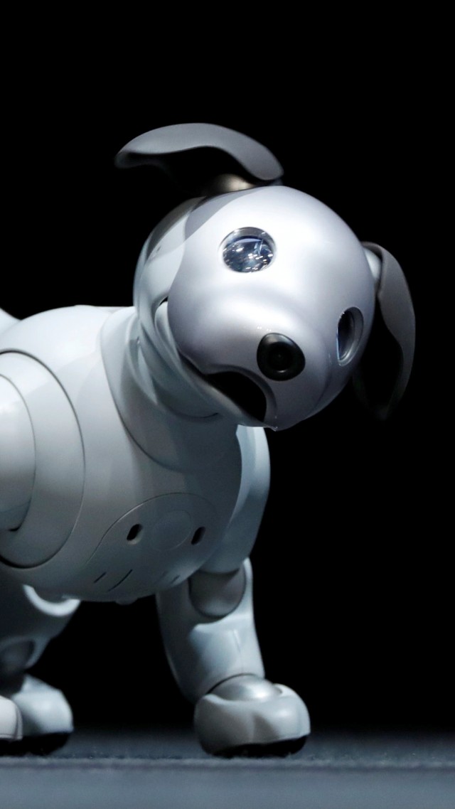 Sony Aibo, Robot, Dog, Hd - Robot Dogs - 640x1138 Wallpaper - teahub.io