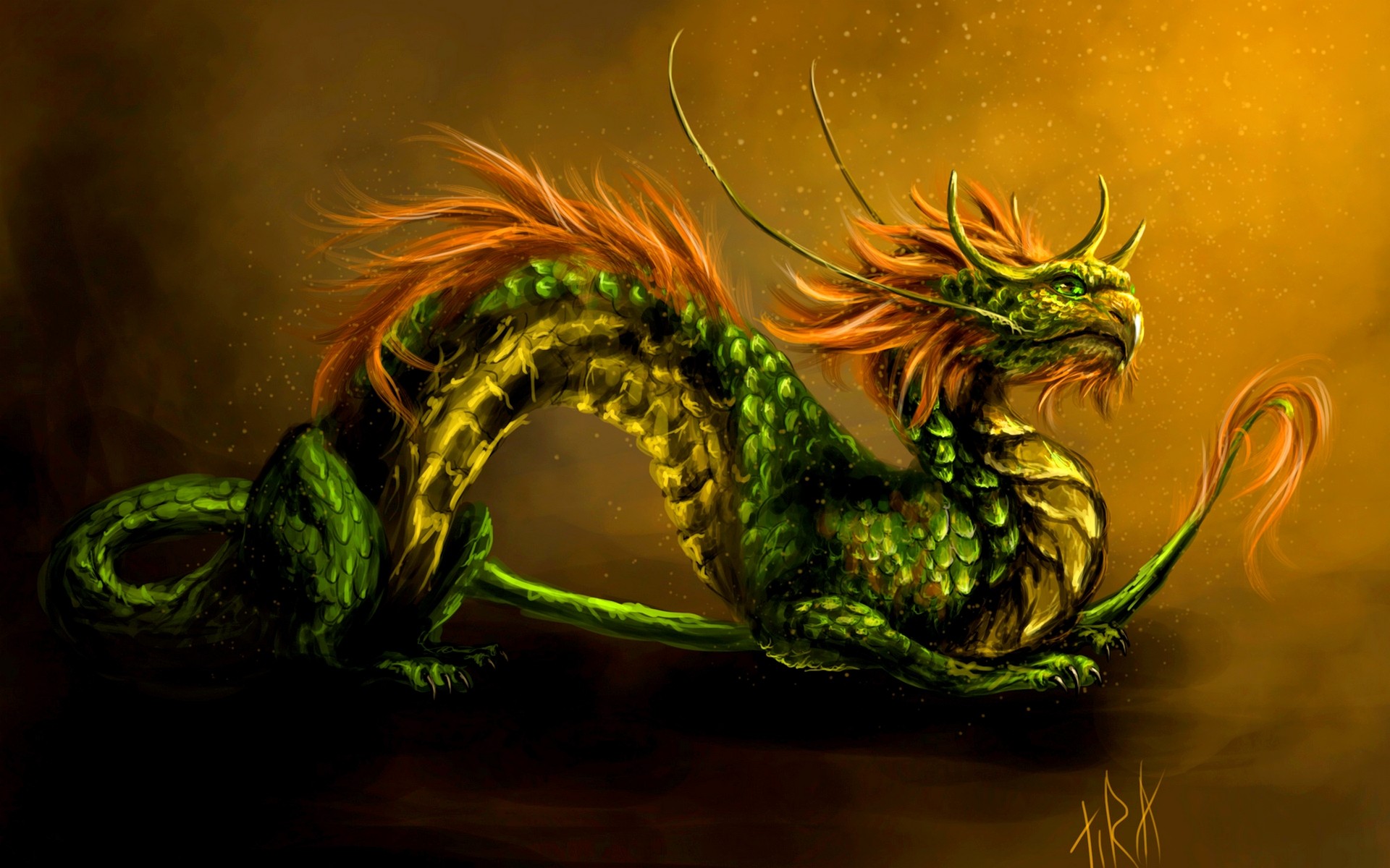 Green Dragon - HD Wallpaper 