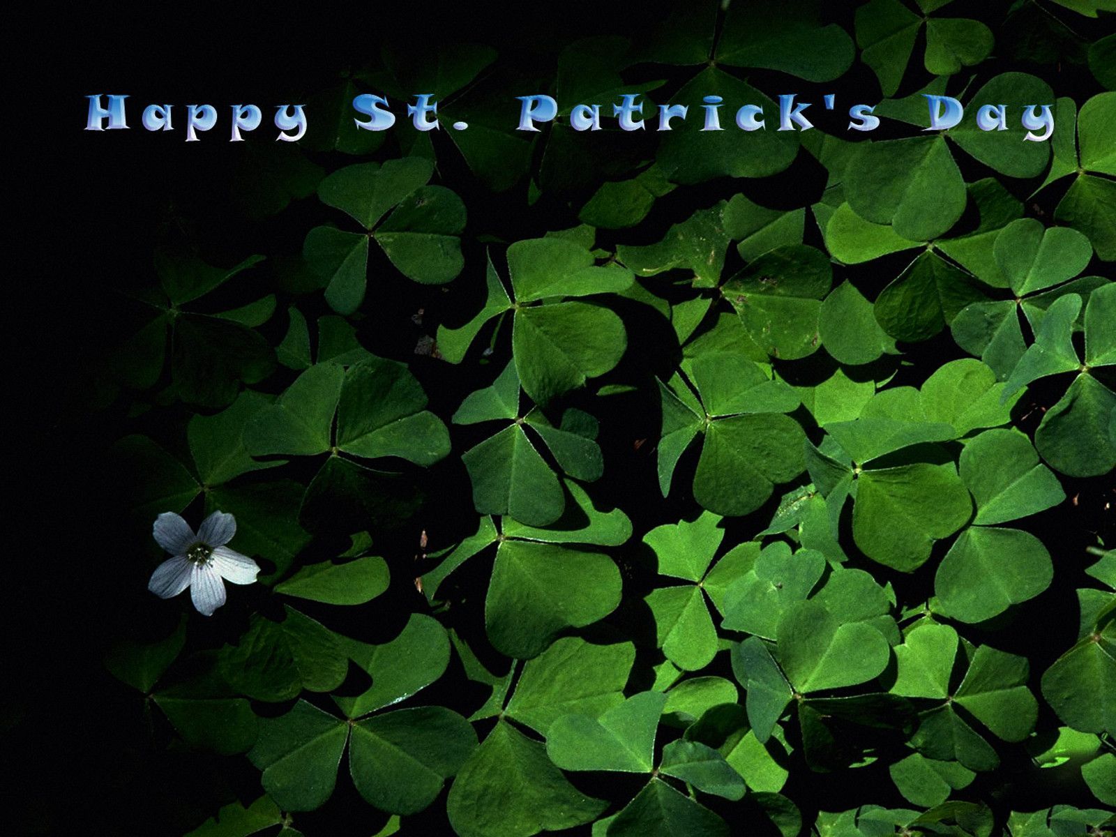 bhg st patricks day wallpapers