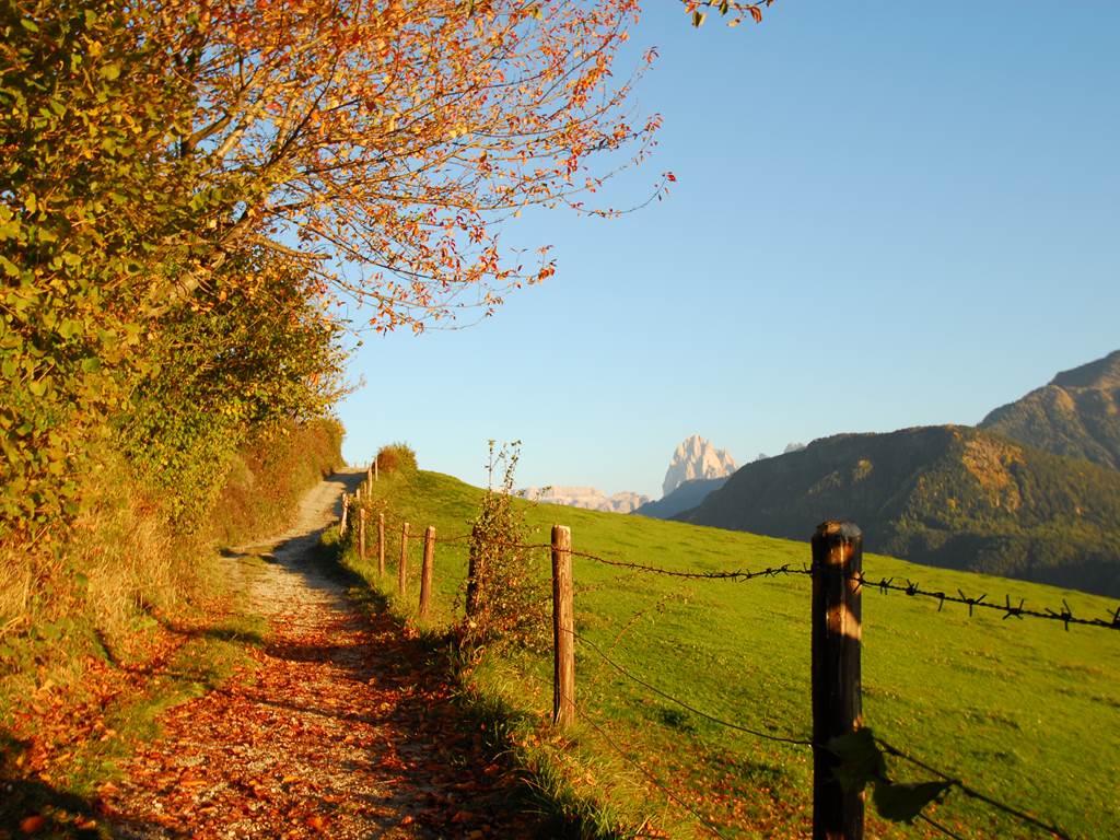 Herbst - HD Wallpaper 