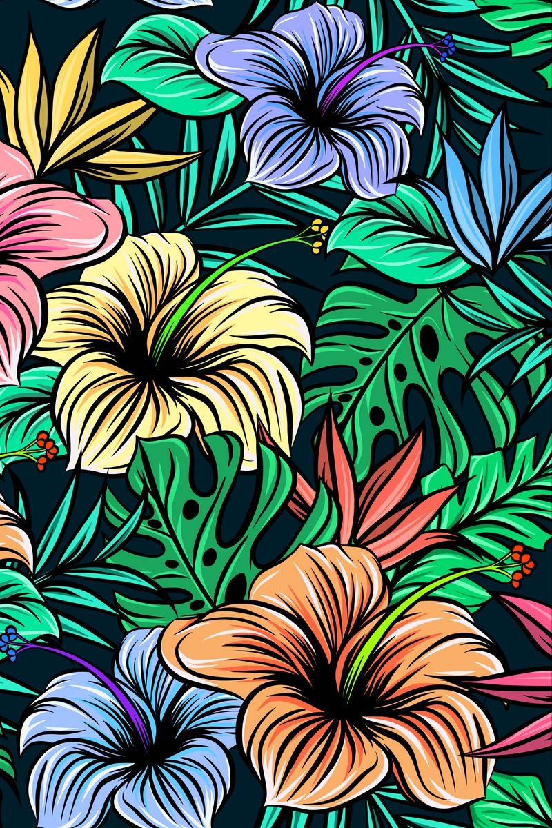 Hibiscus Flower - HD Wallpaper 