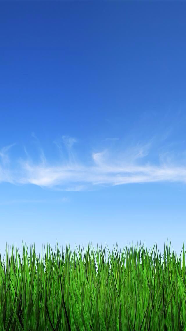 Blue Sky Green Grass Background - 640x1136 Wallpaper 