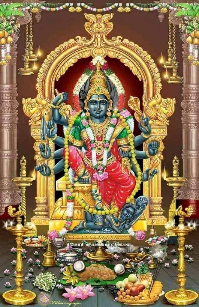 Thiruvakkarai Kali - HD Wallpaper 