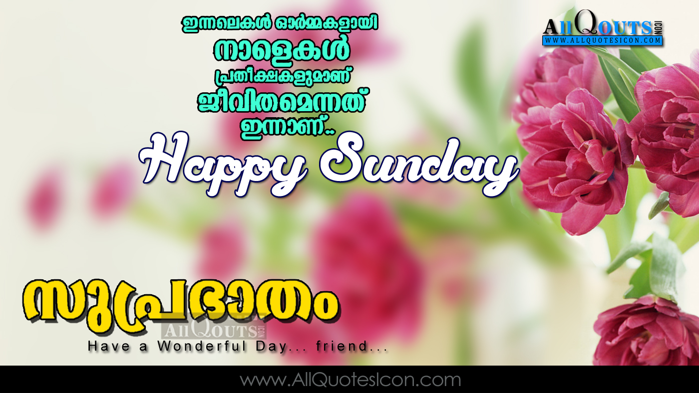 Featured image of post Life Good Morning Malayalam Quotes - Huge collection of trolls, malayalam movie news &amp; reviews, malayalam dialogues &amp; kerala photography, trolls and much more.