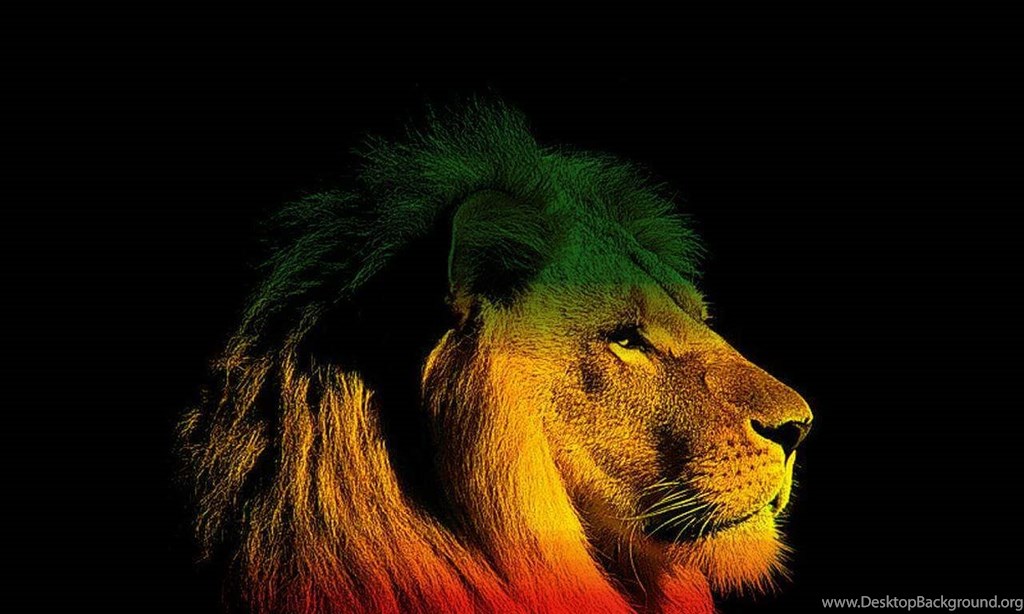 lion of judah rasta wallpaper