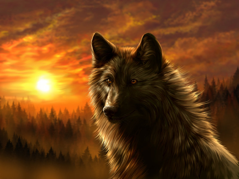 Spirit Wolf Wallpaper - HD Wallpaper 