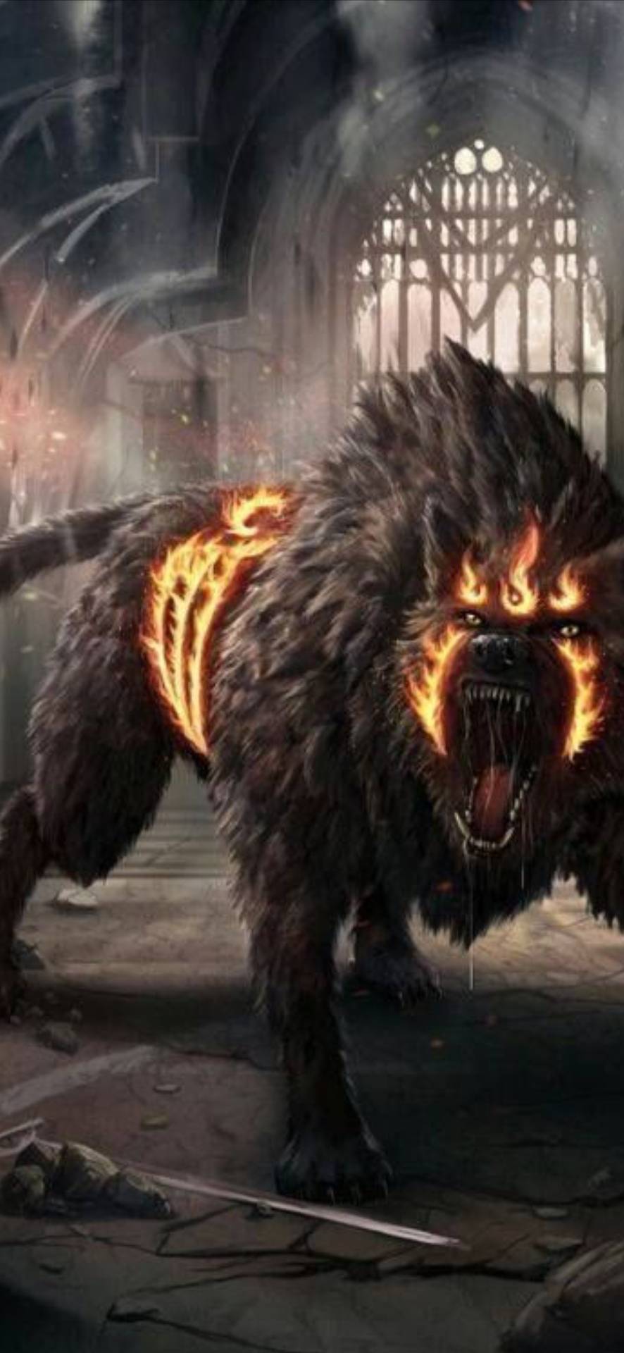 Wolf Wallpaper Android Mobile - Fantasy Beasts - HD Wallpaper 