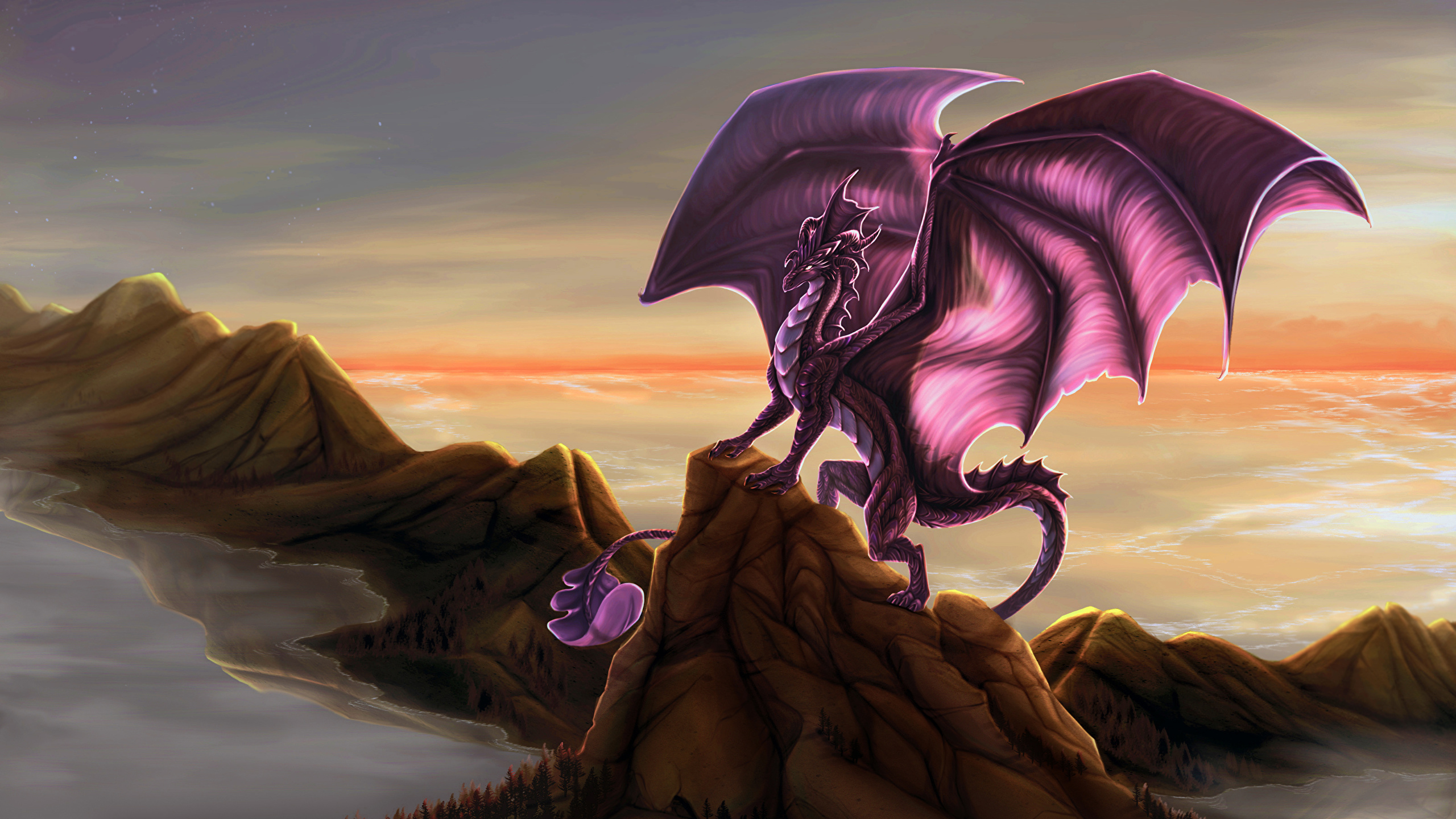 Dragon Violet - HD Wallpaper 