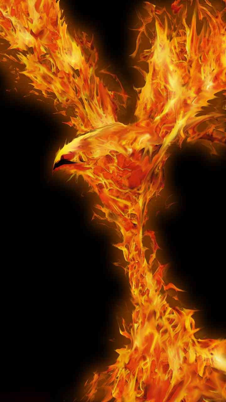 Phoenix Wallpaper Note 10 F13 S11 Wallpapers 58 - Phoenix - 720x1280 ...