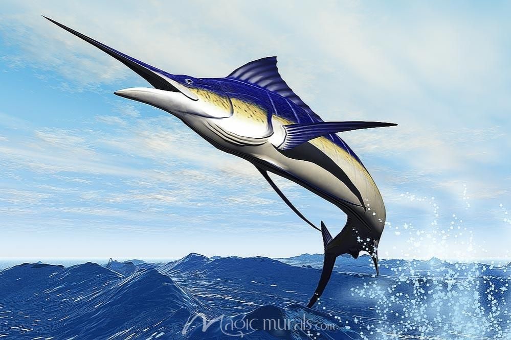 Blue Marlin Bahamas National Fish - 999x666 Wallpaper - teahub.io