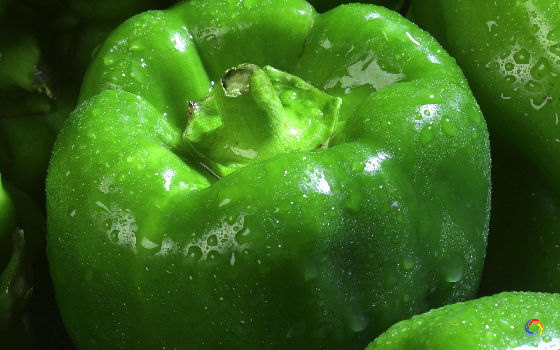 Green Bell Pepper - HD Wallpaper 
