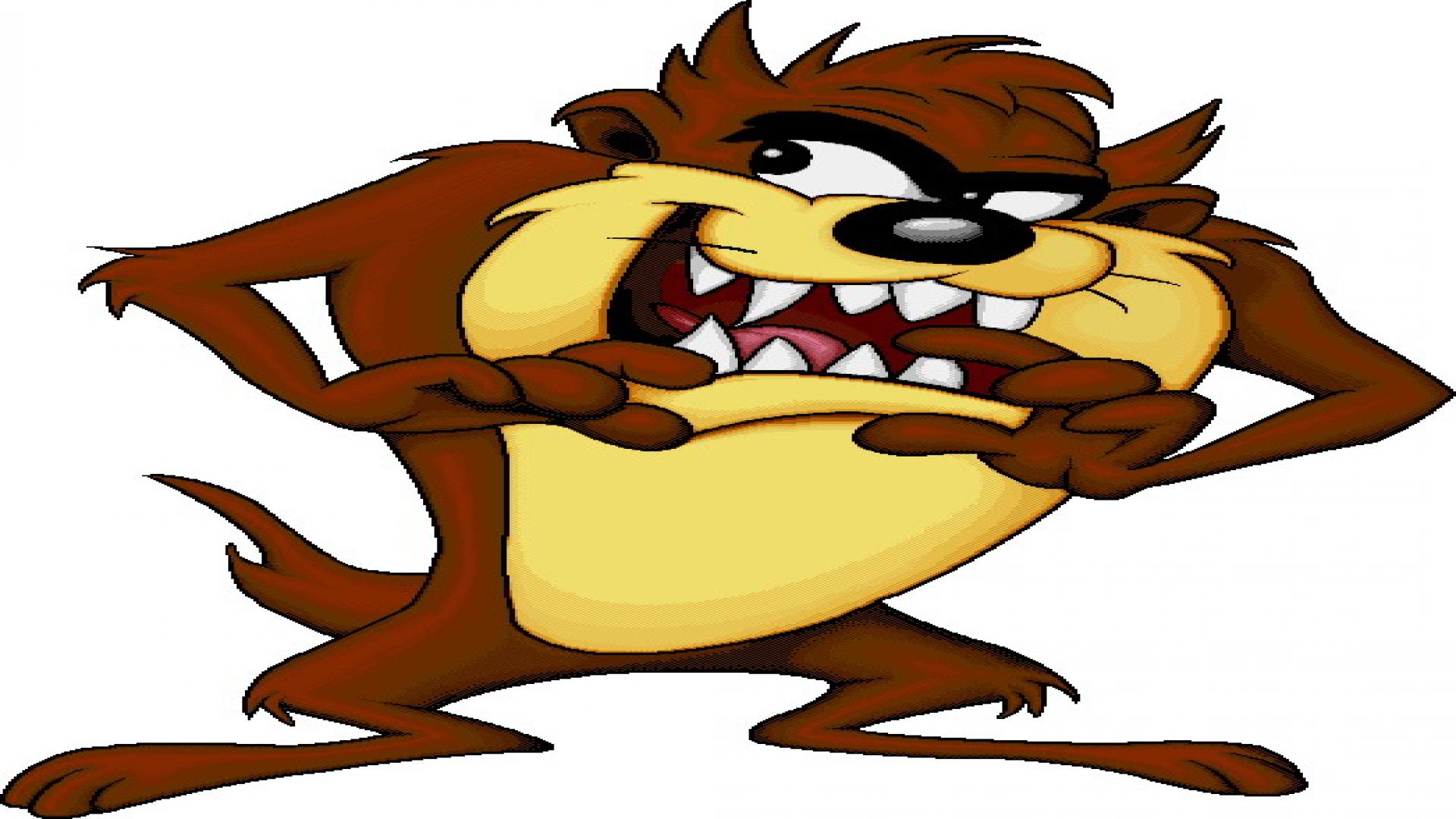 Tasmanian Devil Wallpaper - 1920x1080 Wallpaper - teahub.io