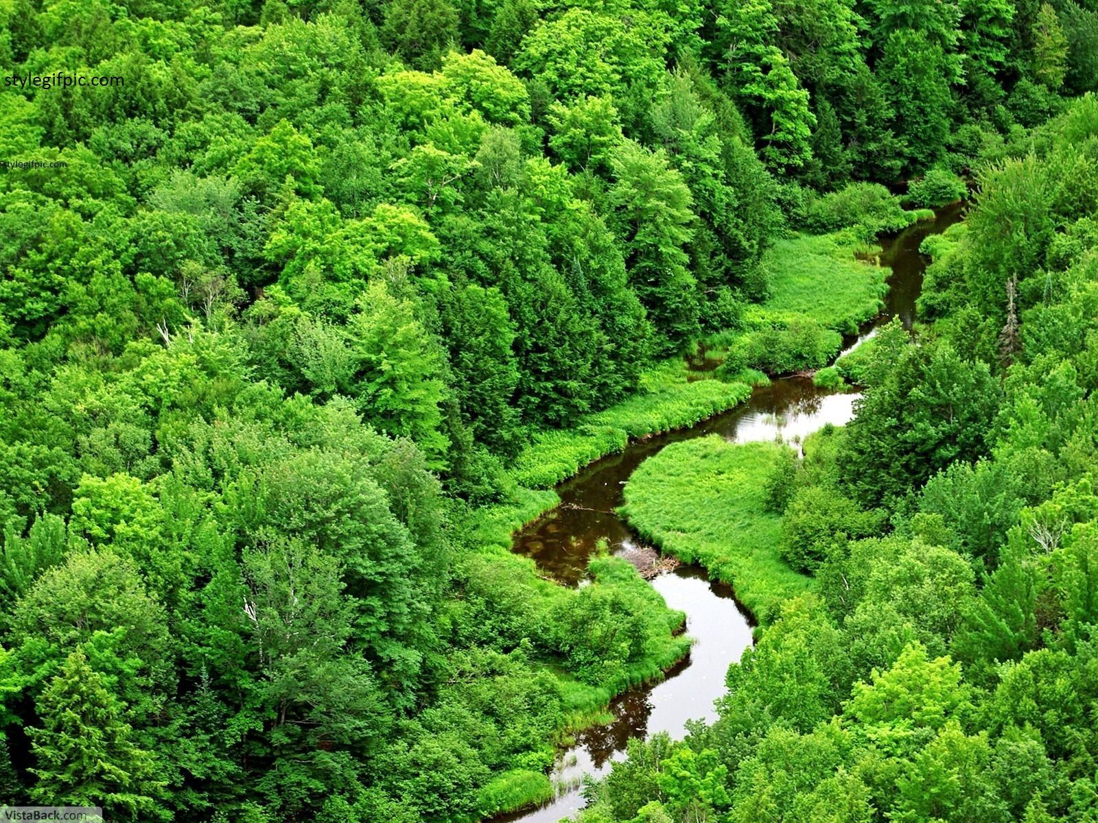 Most Beautiful Photos - Green Nature Hd 1080p - 1600x1200 Wallpaper teahub.io