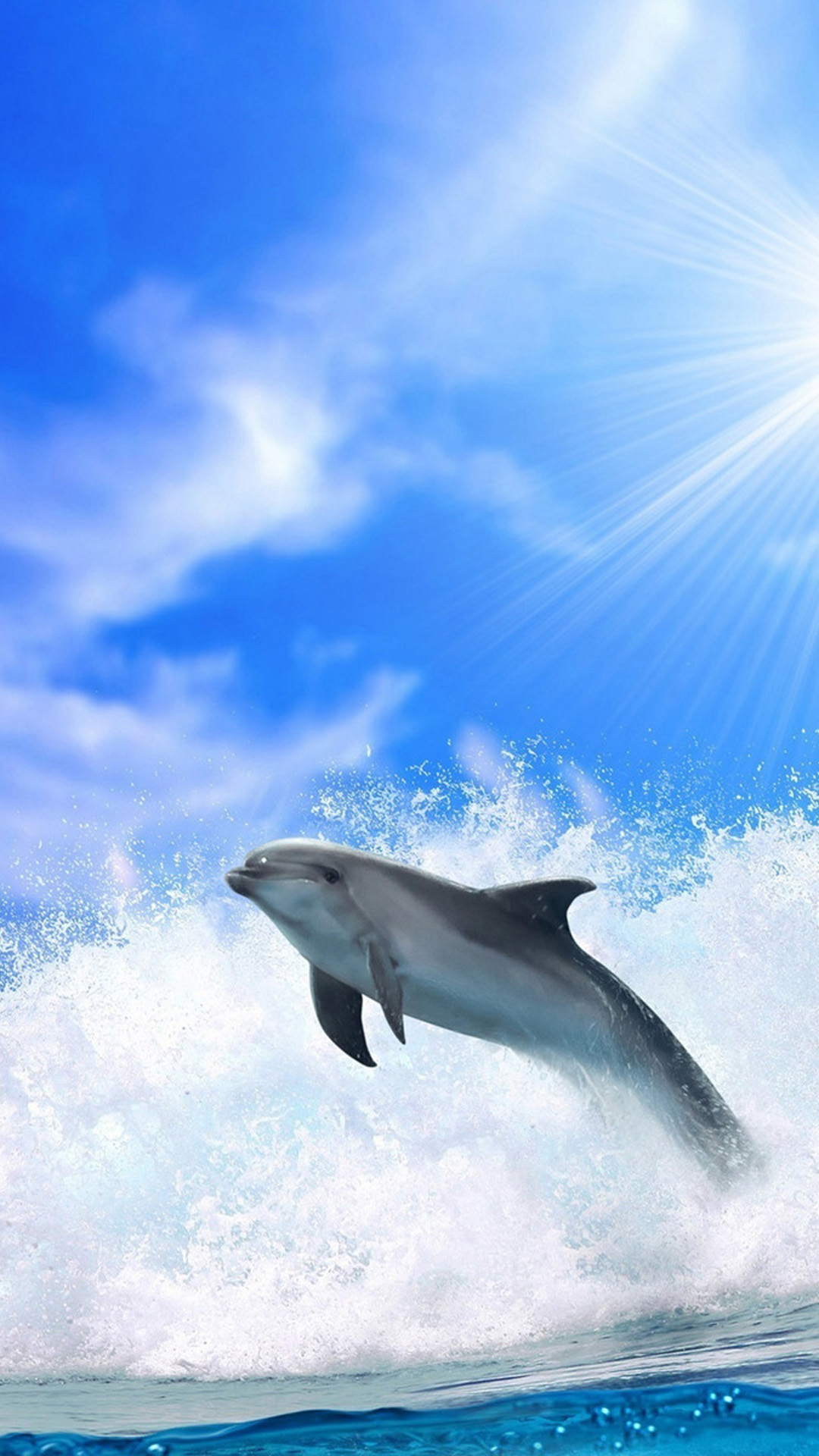 Dolphin Wallpaper Iphone 8 - HD Wallpaper 