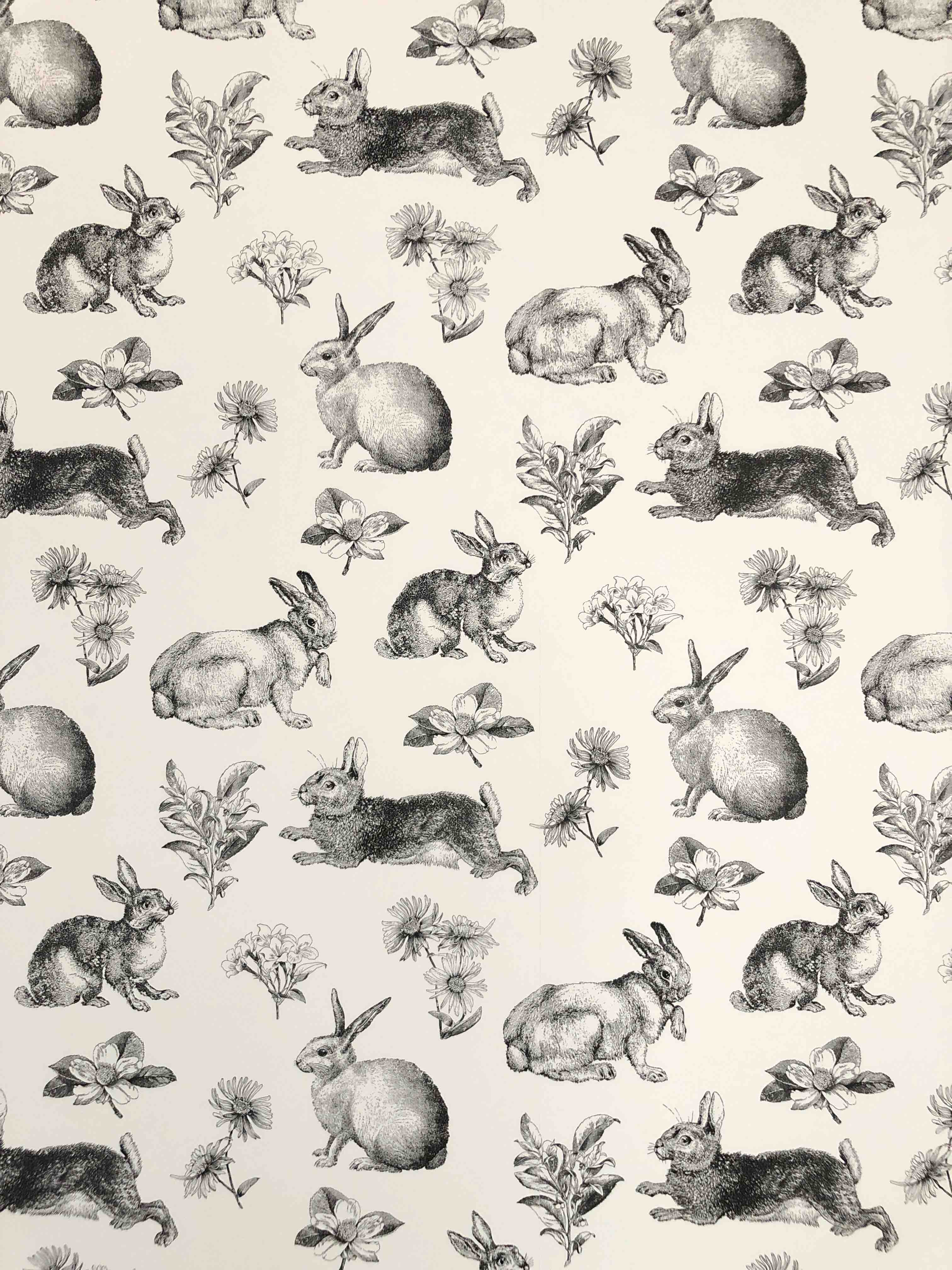 Toile Lapin Wallpaper - 3024x4032 Wallpaper - teahub.io