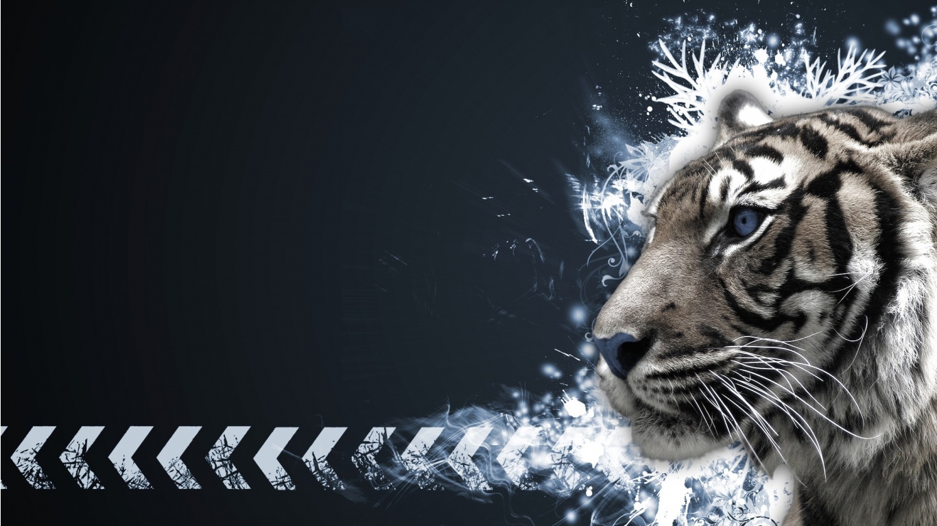 #39965499 Px Tigers Wallpapers - 1366x768 Wallpaper - teahub.io