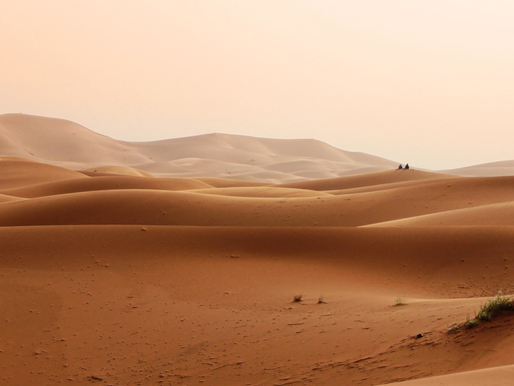 Rajasthan Desert - 1024x768 Wallpaper 