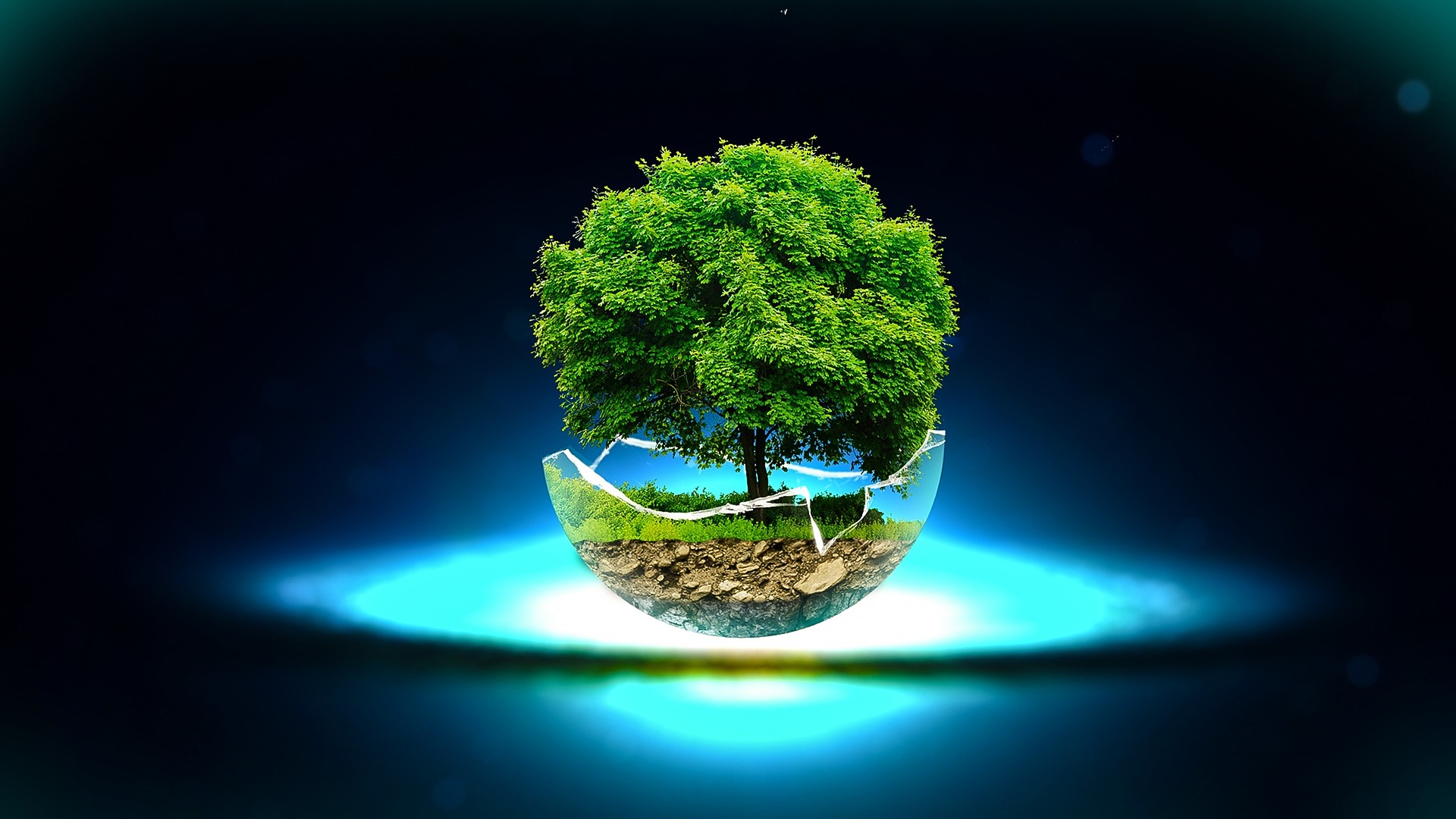 Tree In A Glass Bowl - 1920x1080 Wallpaper - teahub.io