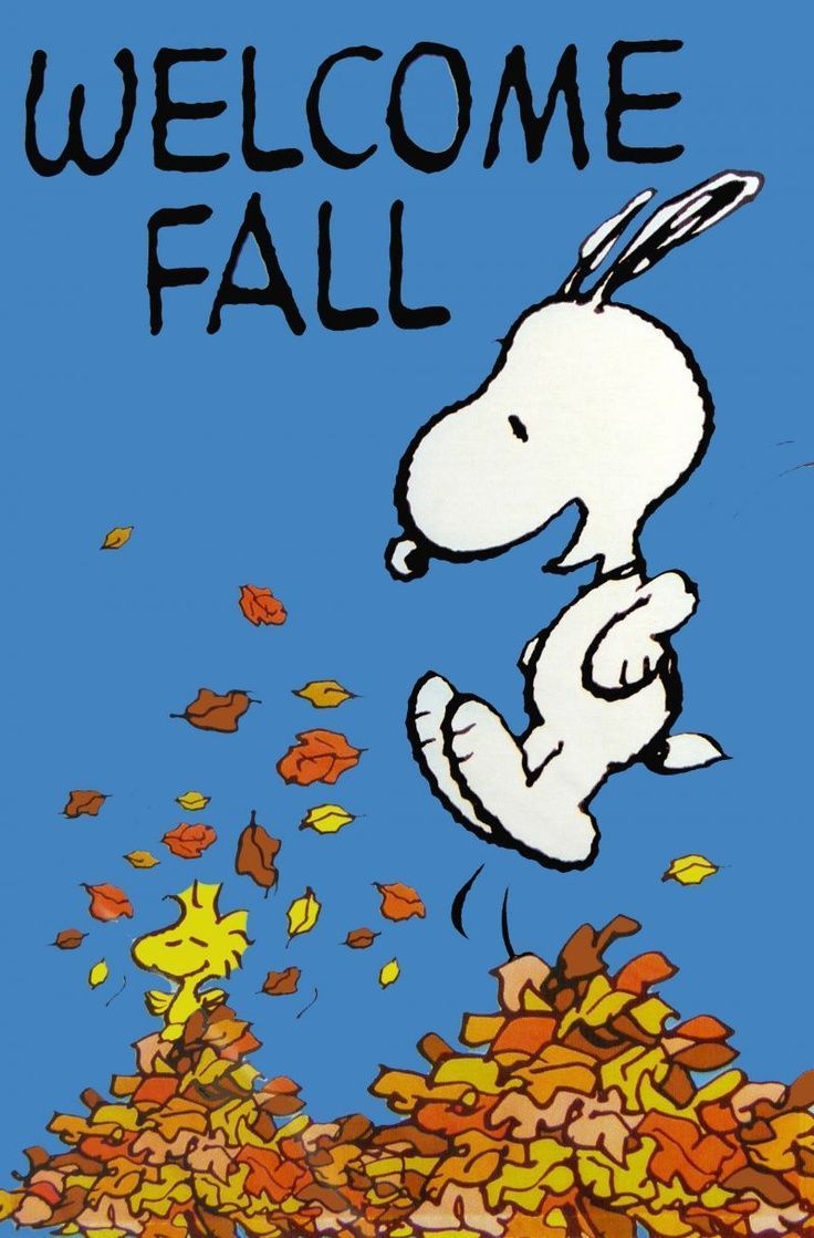 Snoopy Fall - HD Wallpaper 
