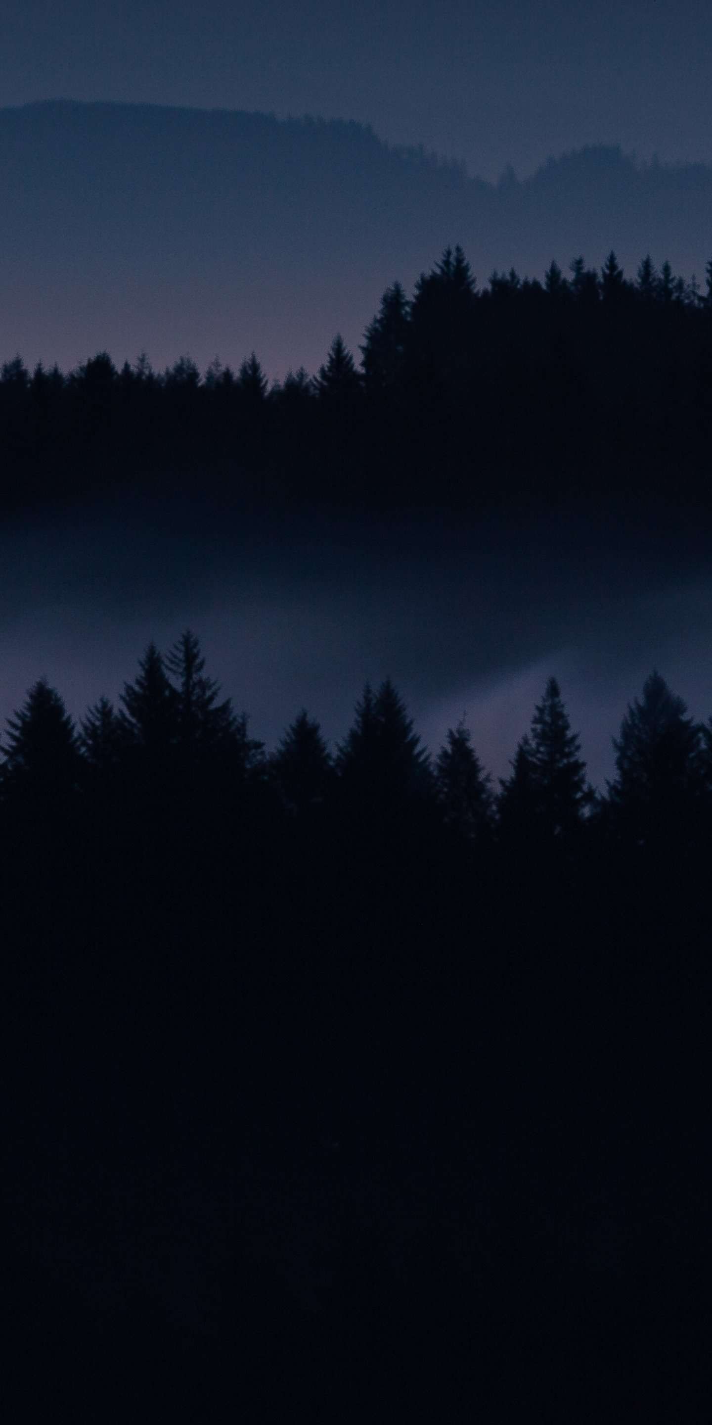  Dark  Forest  Wallpapers  For Android  1440x2880 Wallpaper  