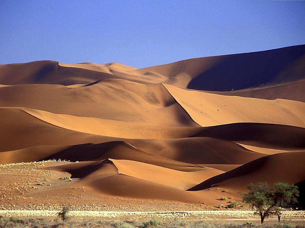 Desert In West Asia - HD Wallpaper 