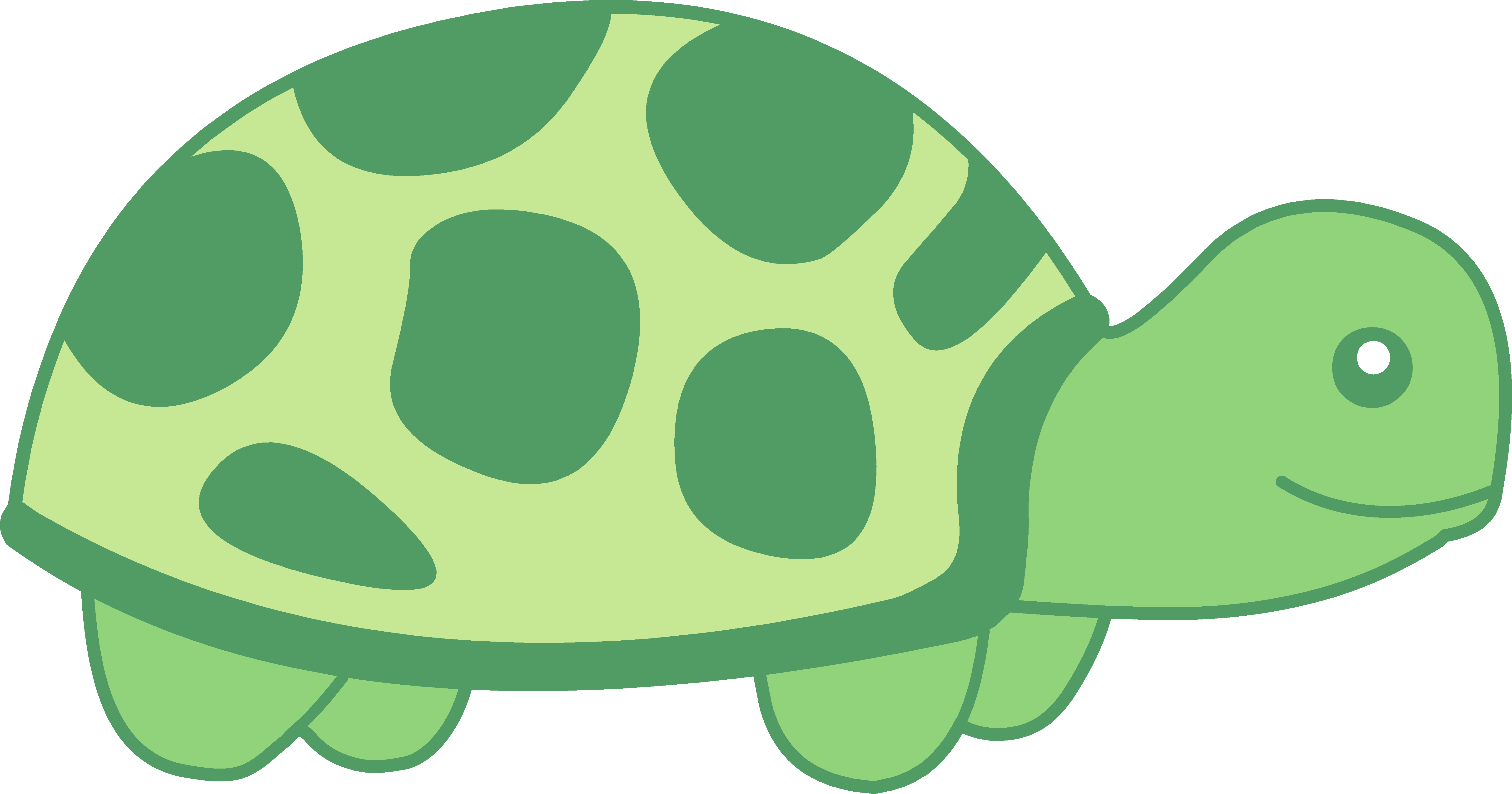 Turtle Clip Art Image - Turtle Png Clipart - HD Wallpaper 