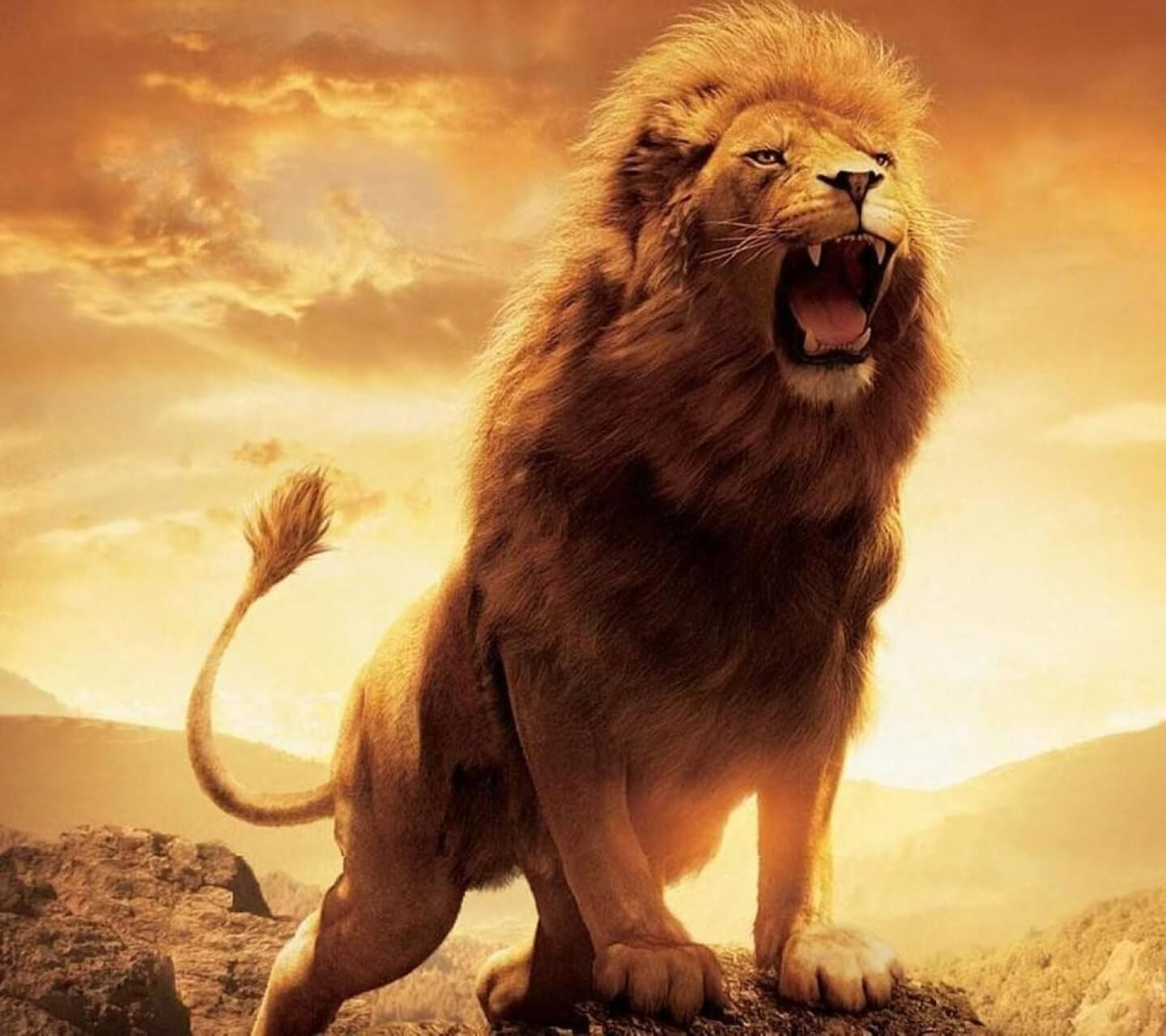 Roaring Lion Wallpaper Hd 1080p Lion Images Hd Download
