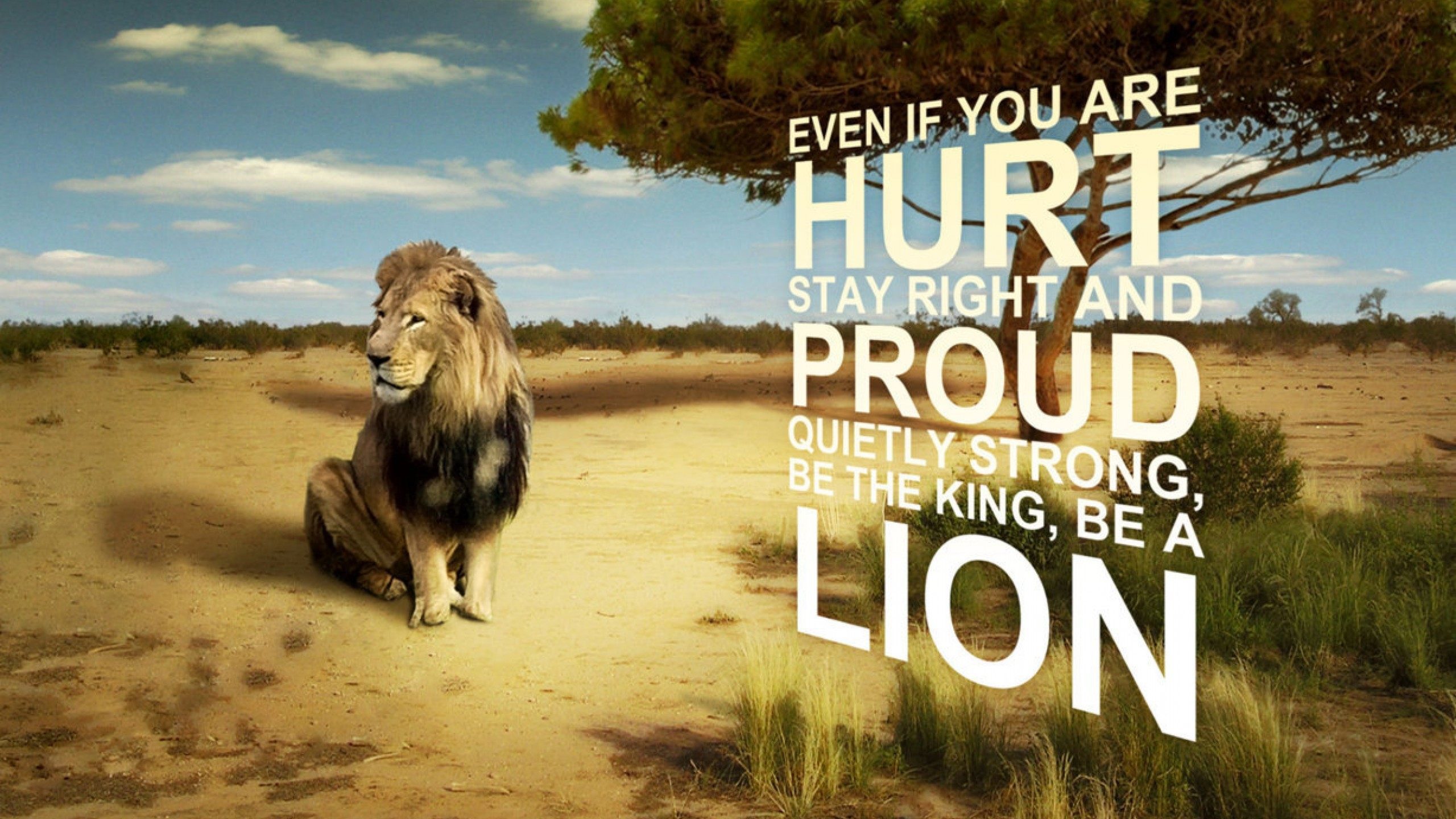Hd Wallpapers Lion 1080P With Quote - 2560X1440 Wallpaper - Teahub.io