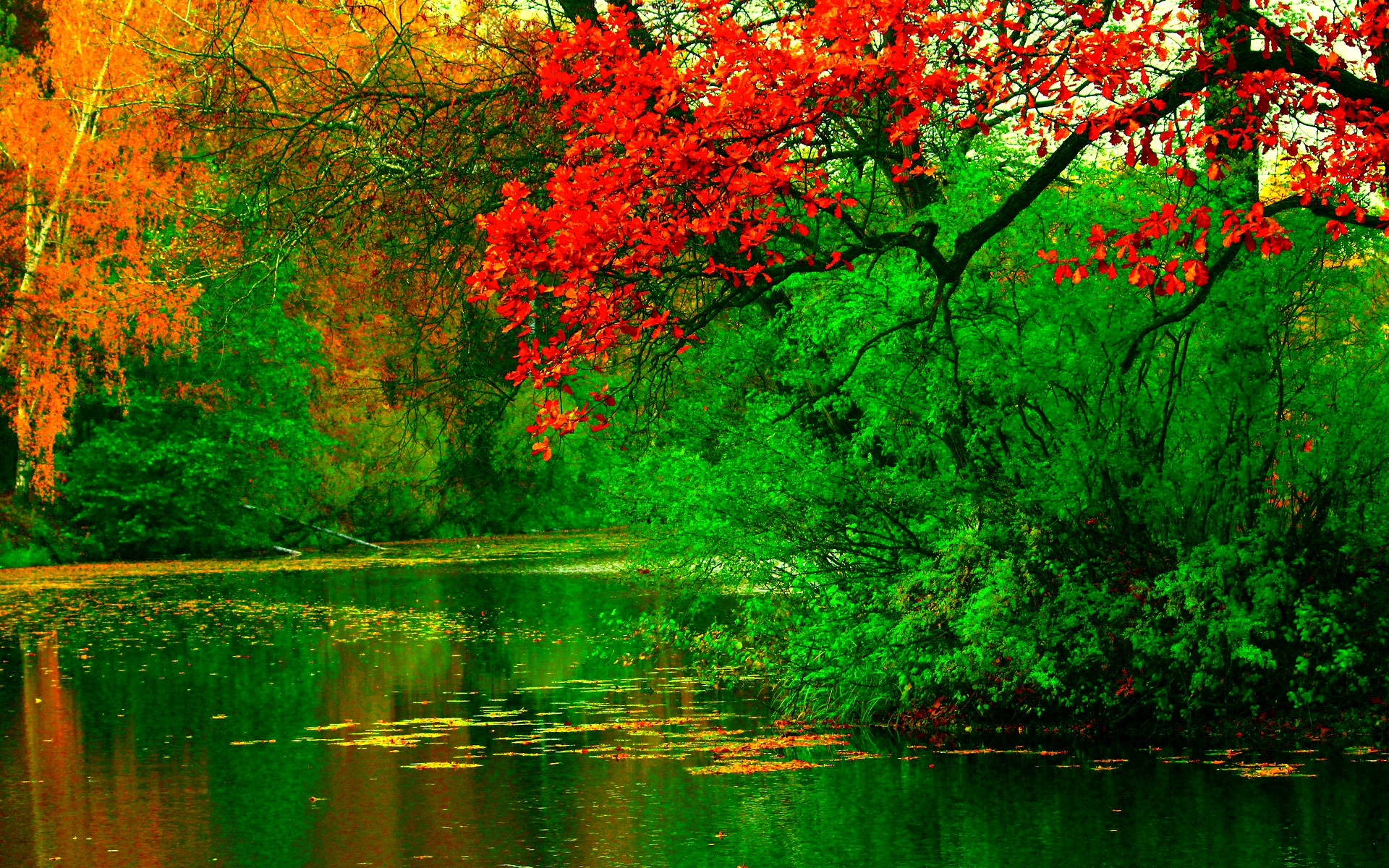 River Background Images Hd - 1920x1200 Wallpaper 