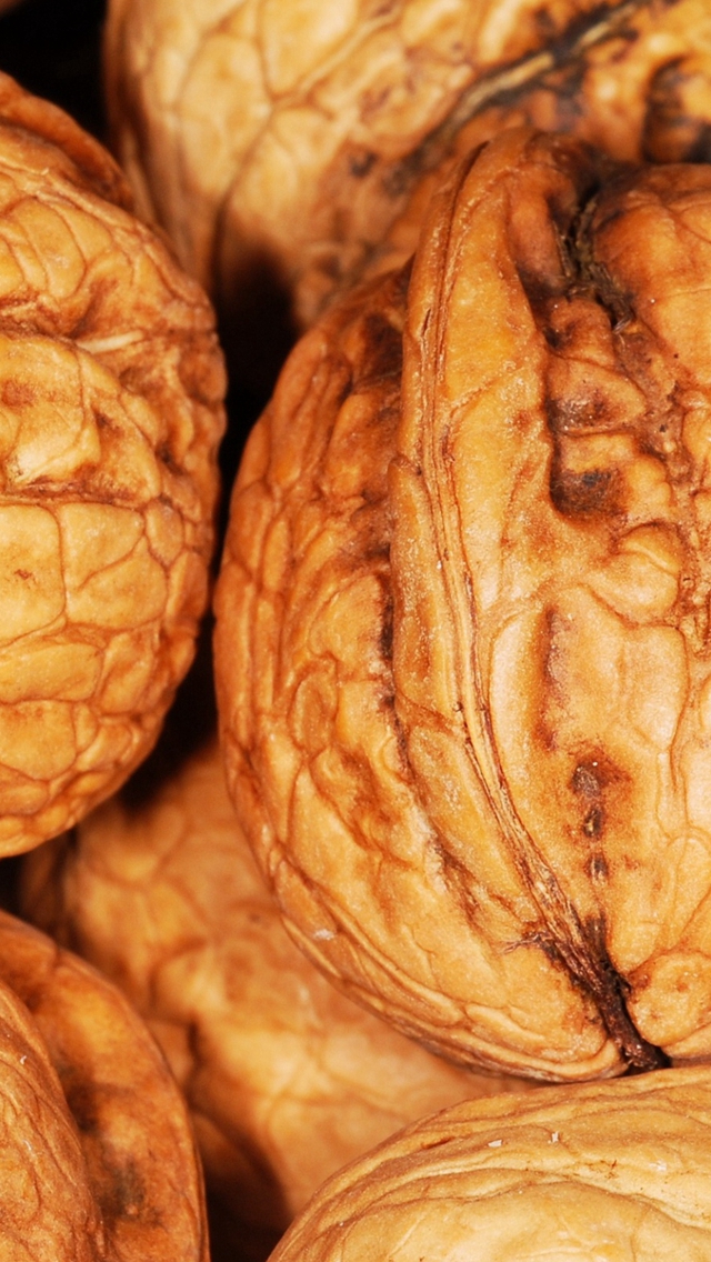 Walnut Shell Nuts Iphone Wallpaper - Shopping Place In Srinagar - HD Wallpaper 