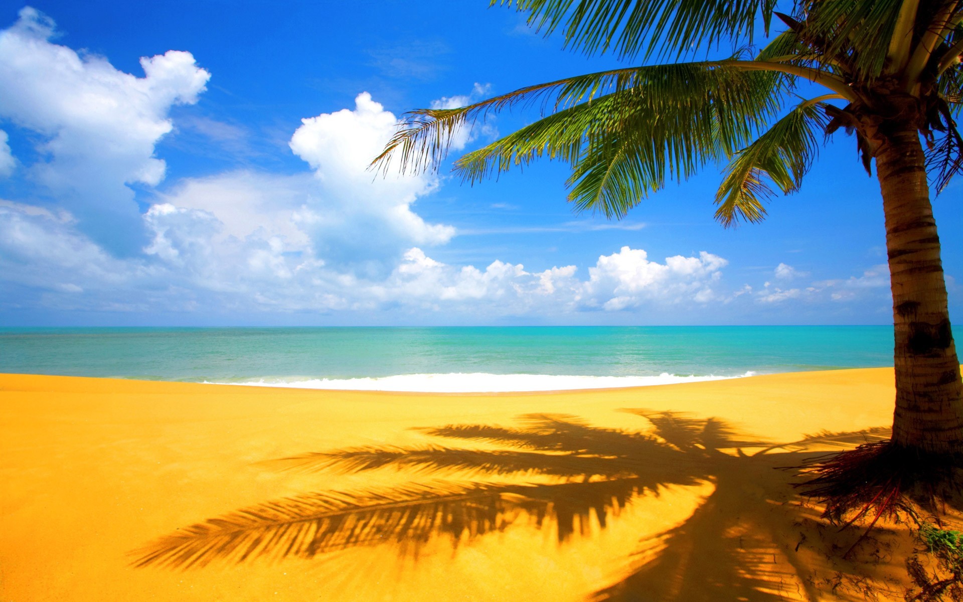 Download Best Animated Chrome Beach Desktop Wallpapers For Beach Background With Palm Trees