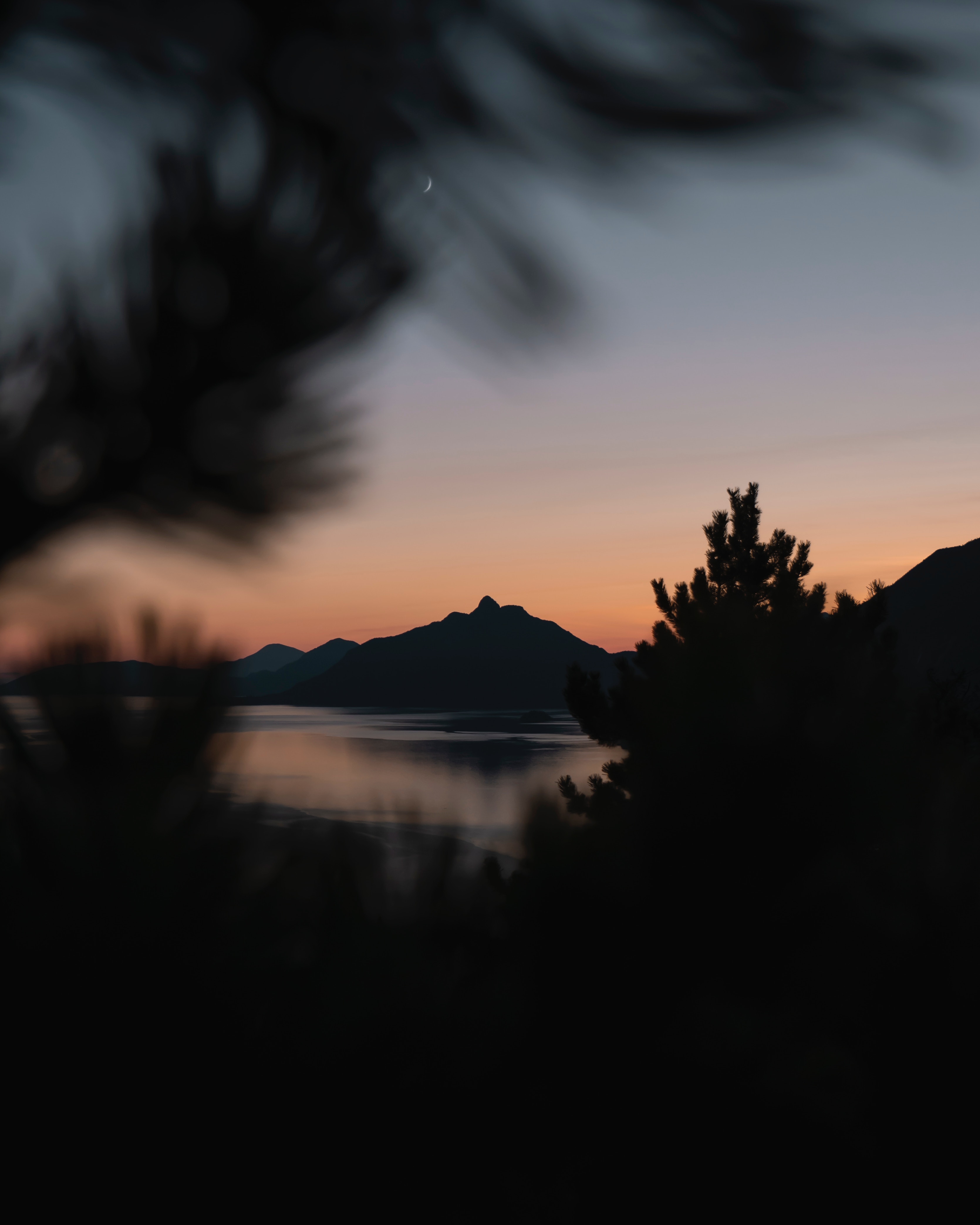 Wallpaper Mountains, Sunset, Branches, Blur, Night - Night Nature Blur  Background - 3339x4174 Wallpaper 