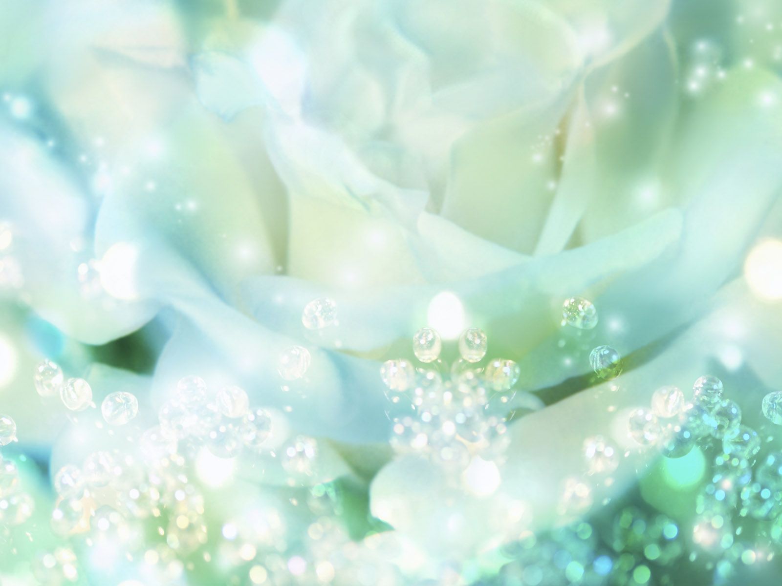 Mint Green Wedding Background - 1600x1200 Wallpaper - teahub.io