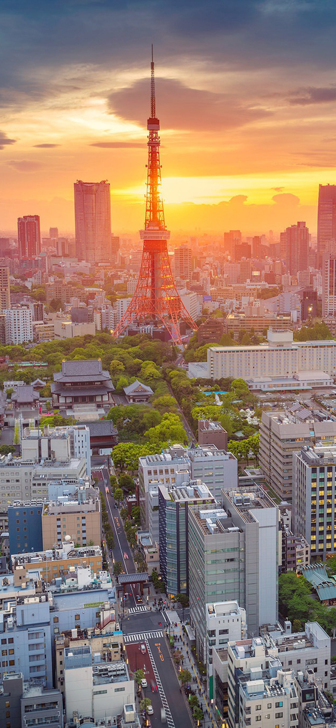 Tokyo Tower 1125x2436 Wallpaper Teahub Io