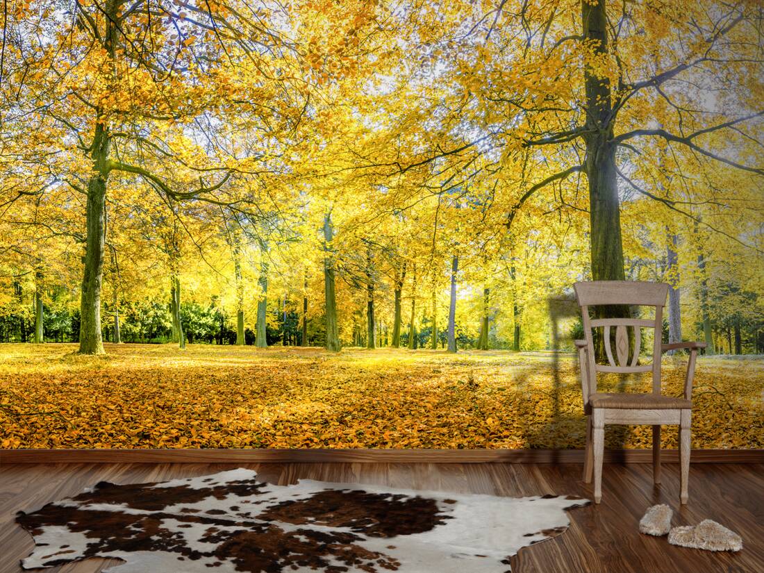 Architects Paper Photo Wallpaper Autumn Forest - Wallpaper - 1100x825 ...