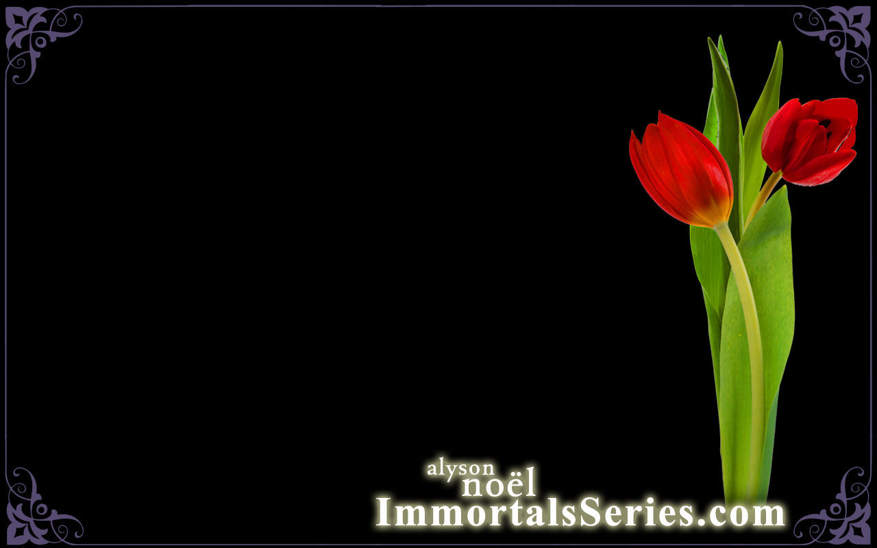 Immortals Wallpaper - Immortals Series - HD Wallpaper 